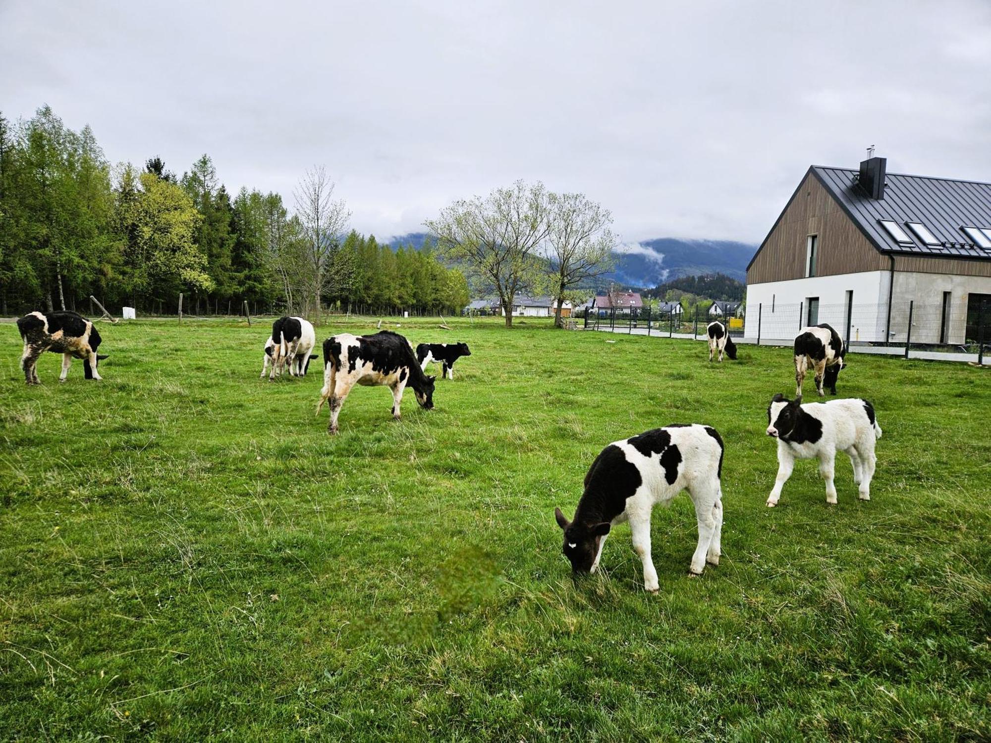 Zacisze W Karkonoszach Villa Karpacz Exterior foto